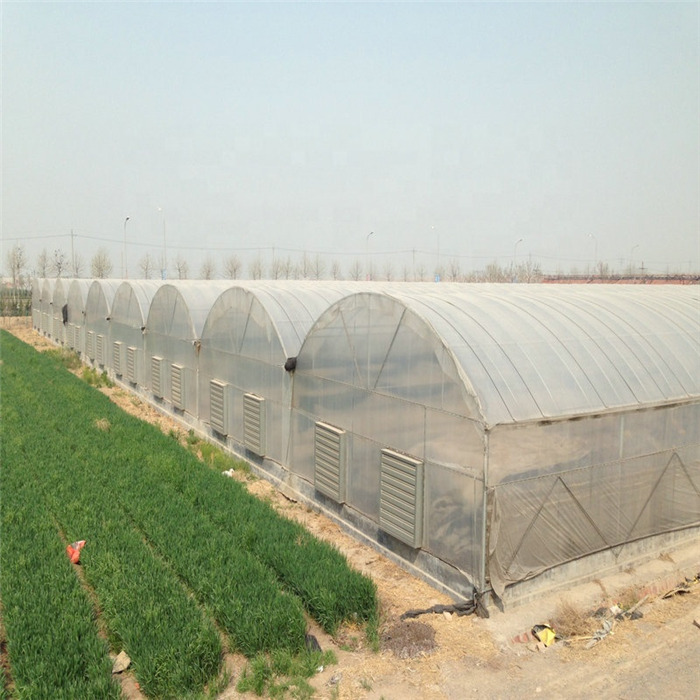 Greenhouse Film