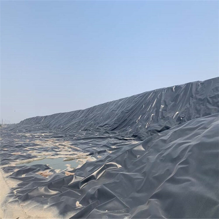 Geomembrane
