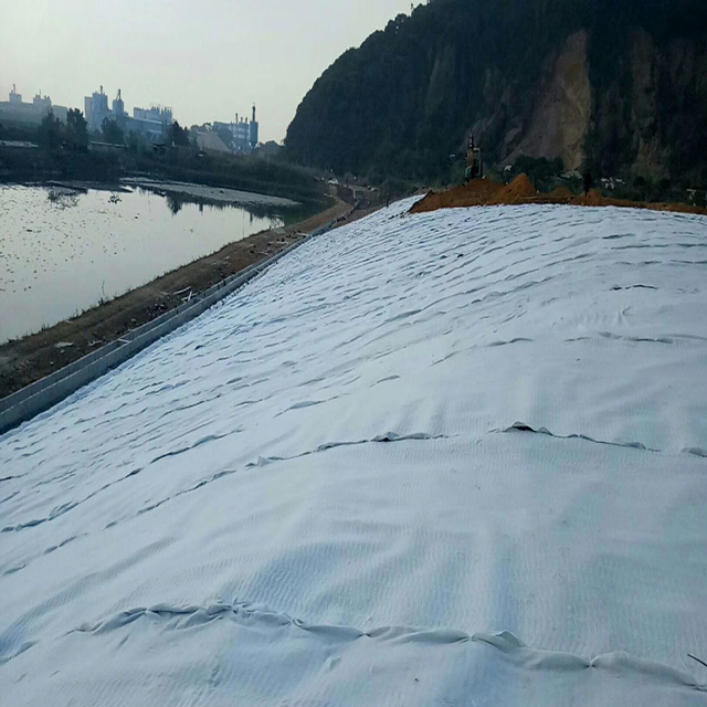 Geotextile (2).jpg